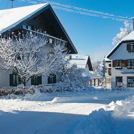 2 Min Zum - Zum Schweizer Mit Balkon Oder Terrasse In Seehausen A Staffelsee Appartement